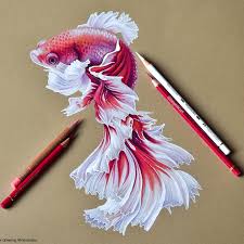 Color Pencils Example 1
